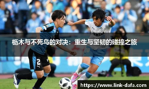 枥木与不死鸟的对决：重生与坚韧的碰撞之旅